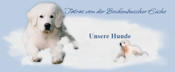 Unsere Hunde